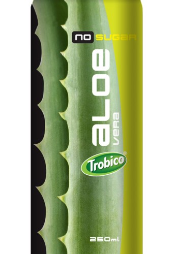 Aloe vera no sugar alu can 250ml